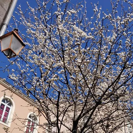 Affittacamere 5 En 4*